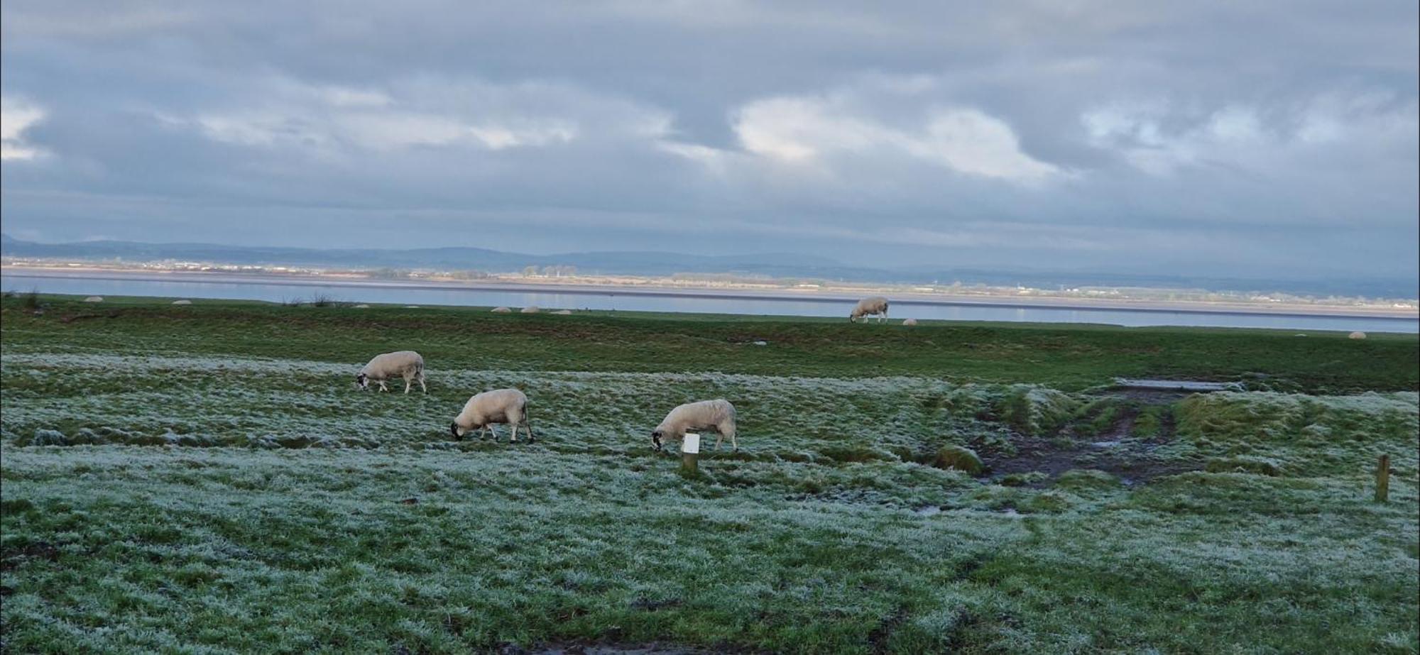 Port Carlisle Caravan Near Bowness On Solway酒店 外观 照片